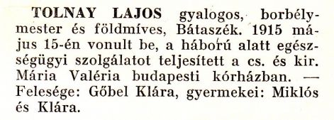 tolnay_lajos_gyalogos.jpg